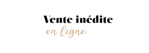 Text in a stylized font reading "Vente d'hiver en ligne," which translates to "Winter Sale Online."