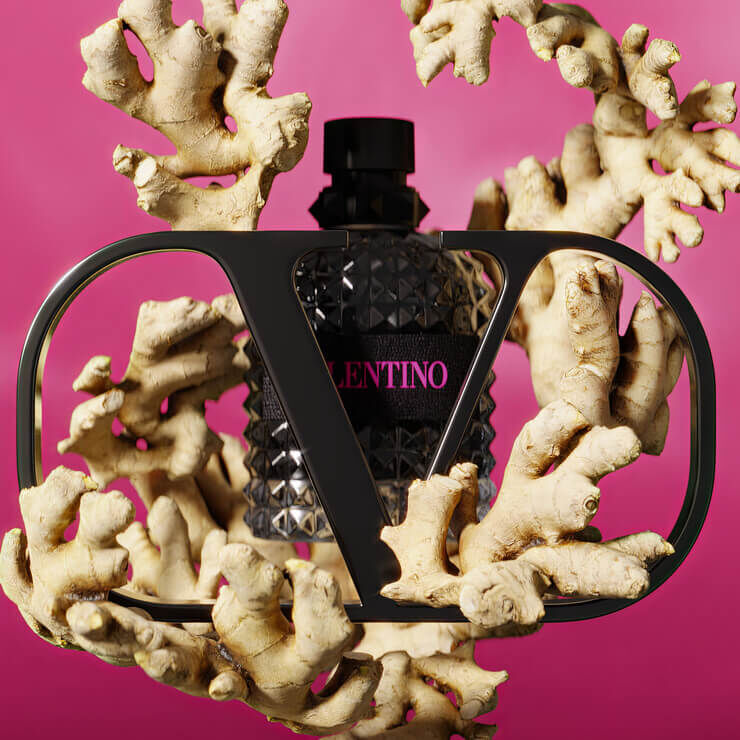 Ginger Ingredient Image